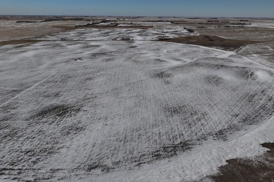 Copy of dji_fly_20250110_141936_0180_1736540748000_photo