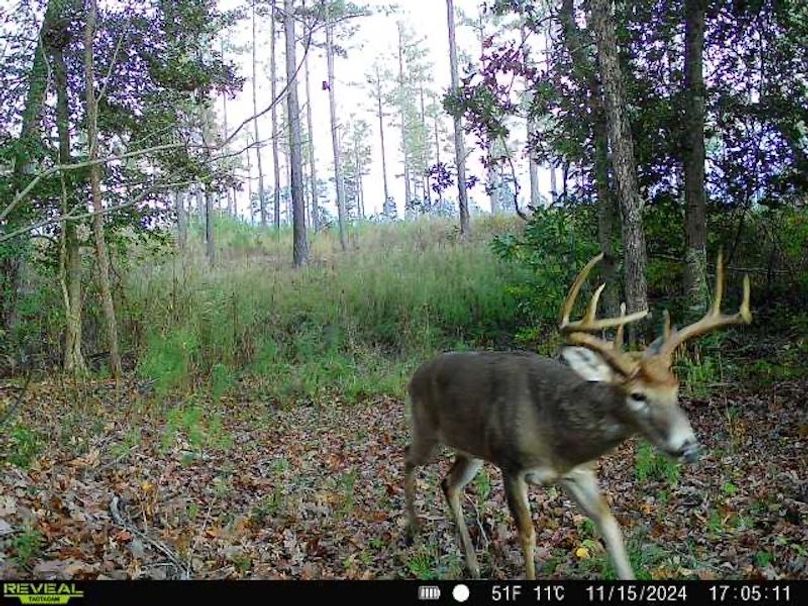 868032064794948-90-3-11152024170510-V-W1000195