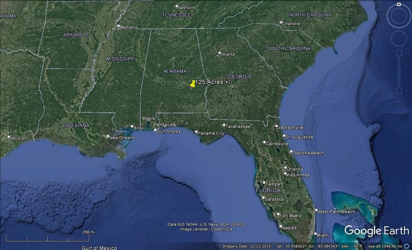 Aerial #8 Approx. 125 Acres Bullock County, AL