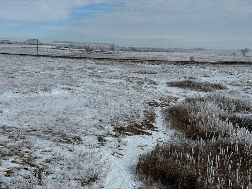 442EC55D-0E79-401E-A95C-E5FAC567E850_1_105_c