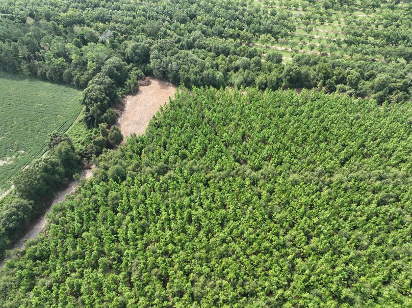 dji_fly_20230905_114140_632_1693928725278_photo