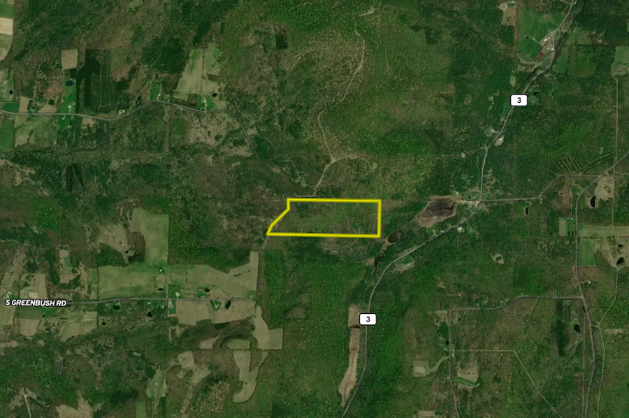 Chemung_59.085_Gutchess_Lumber_Landid_6