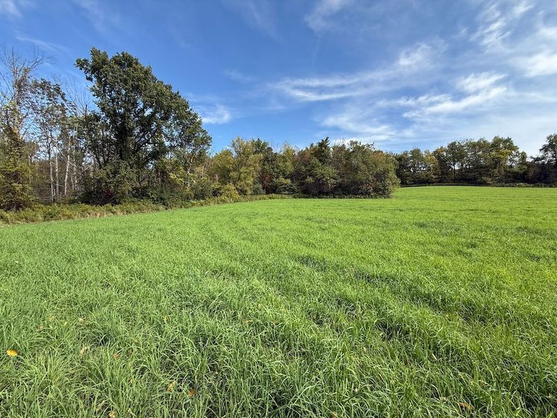 Cayuga_55.02_Herman Photo 34