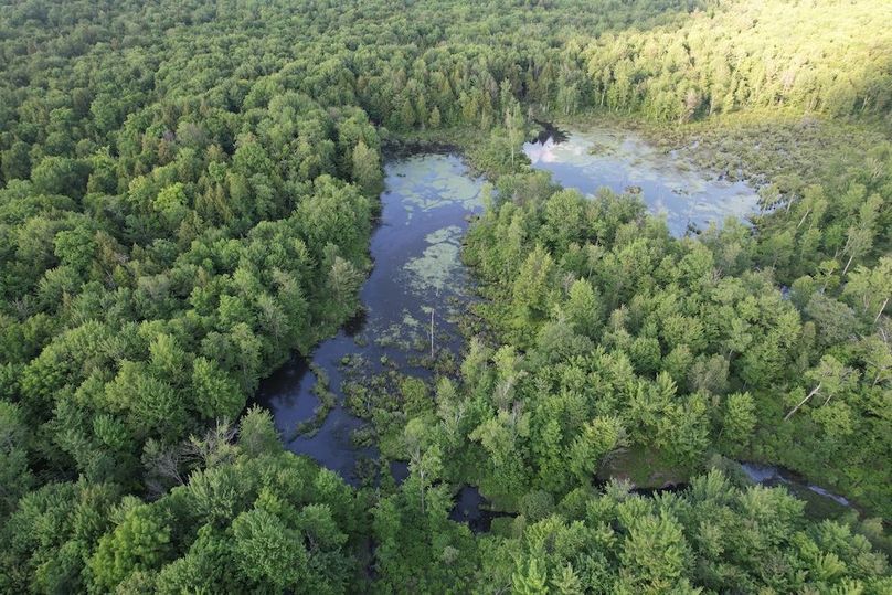 Jefferson_260.3_ Lobach_Photos_22