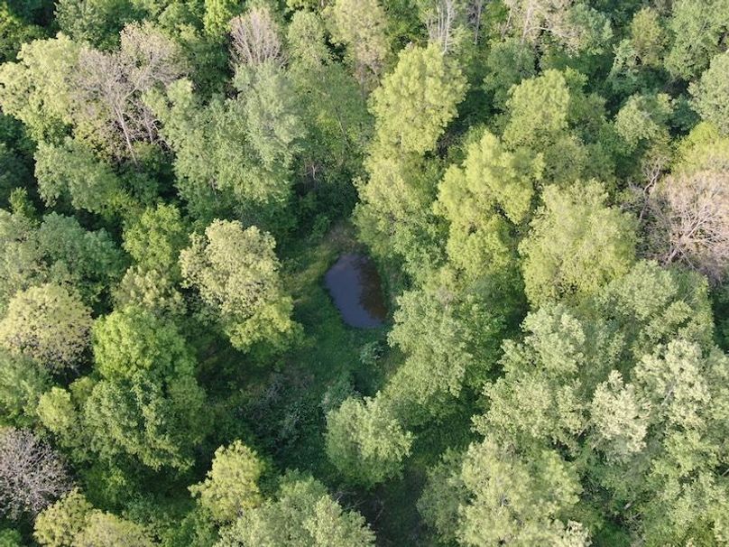 DJI_0861