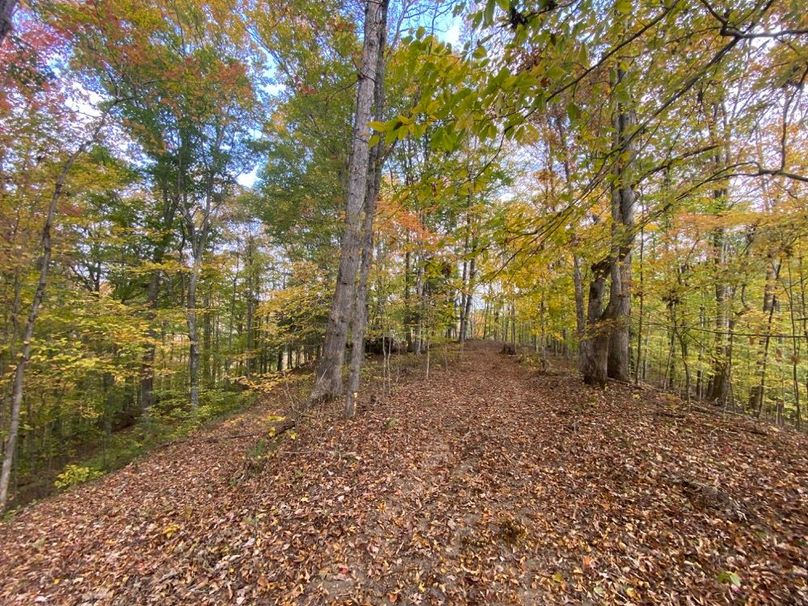 010 the upper ridge line along the western boundary