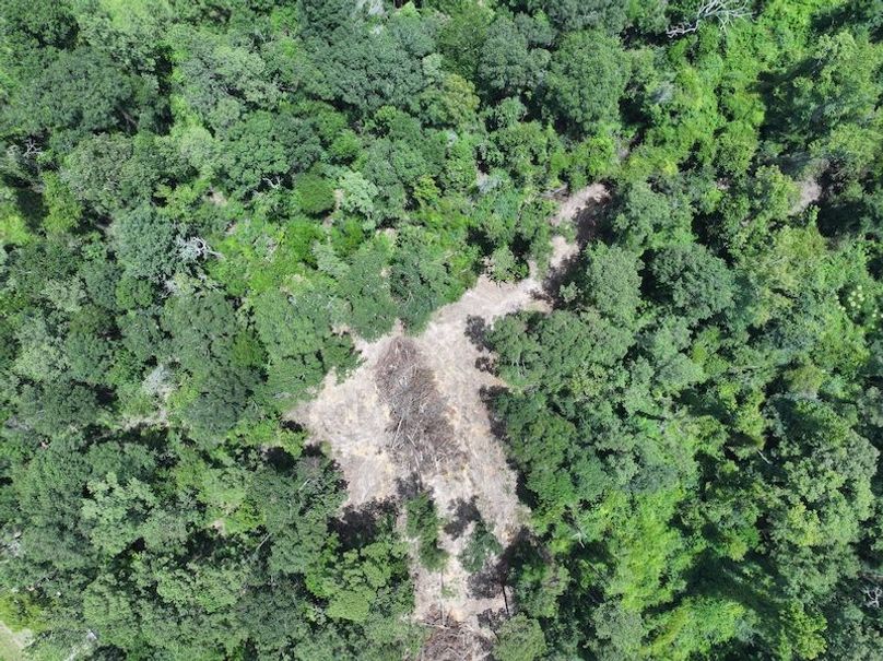 dji_fly_20250708_125834_0256_1752089863589_photo