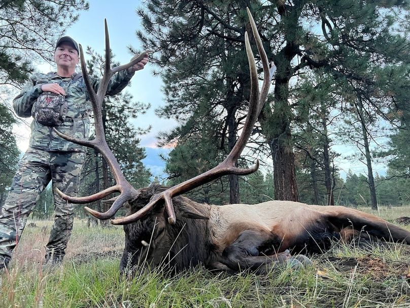 elk harvest 4