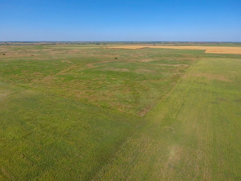 DJI_0622