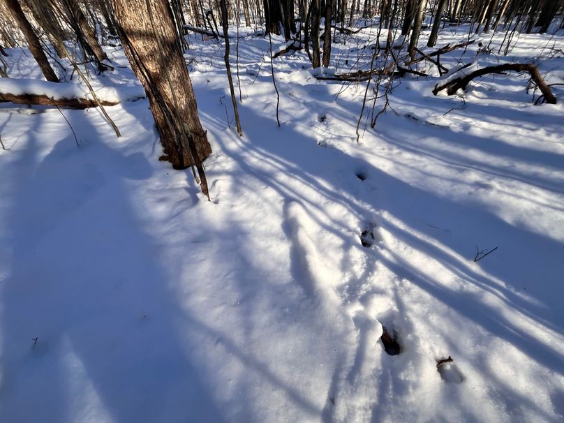 Tioga_11.9_Kilroy_Photos_19