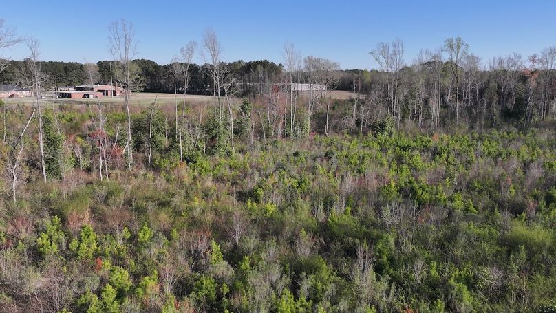 DJI_20240321173554_0066_D