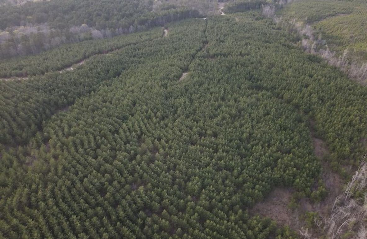 DJI_0116