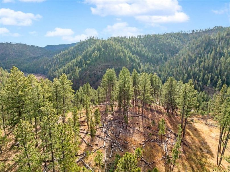 06-11708 Rochford Road-12