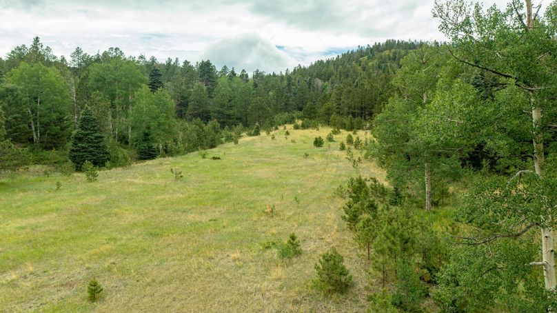 Copy of Los Alamos 508 6-24 Drone-32