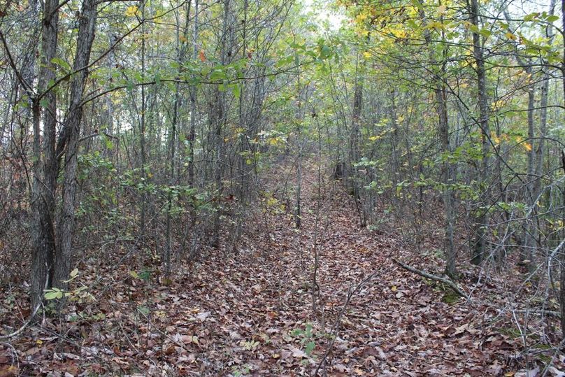 018 ridgetop road along west border