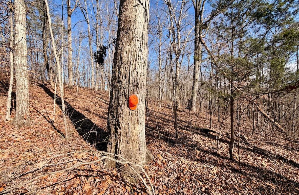 Roane Co TN 396 20251127_05