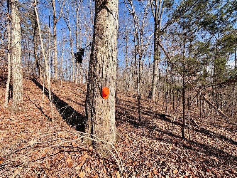 Roane Co TN 396 20251127_05