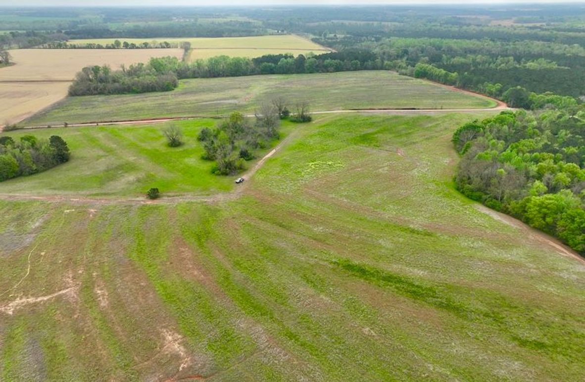 dji_fly_20250402_110914_623_1743607185275_photo