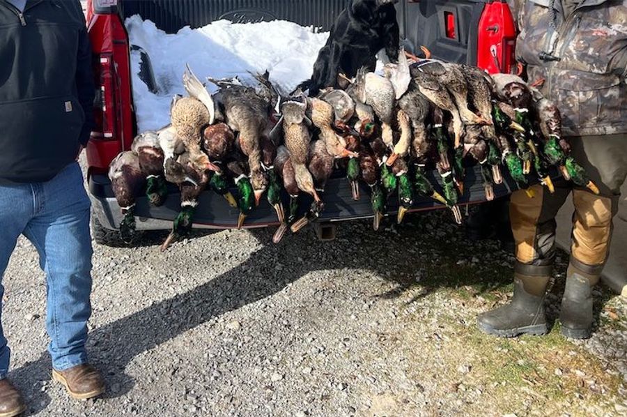 Tailgate harvest