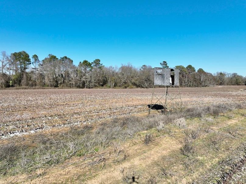 dji_fly_20260115_143818_122_1768507080201_photo