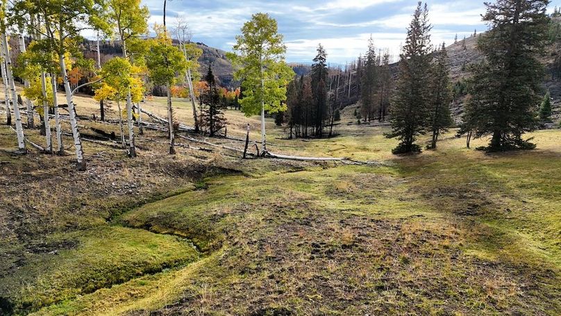 DJI_20250927085532_0129_D