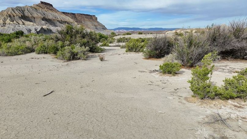 DJI_20250517084006_0003_D
