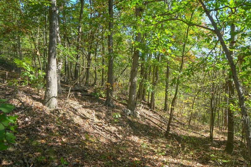 Fayette, 199, Hostetler-33