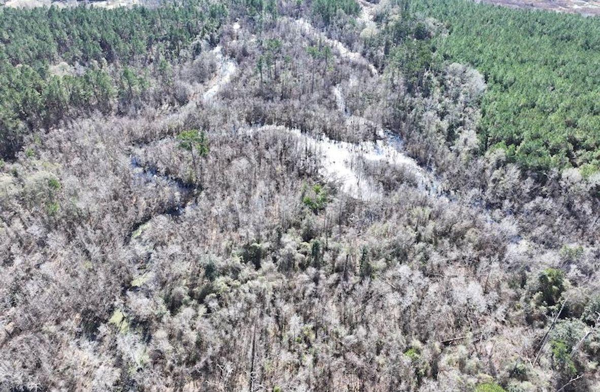 dji_fly_20260112_110212_0810_1768323792569_photo