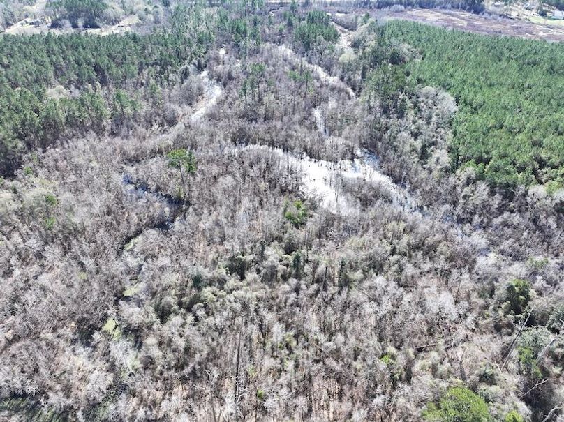 dji_fly_20260112_110212_0810_1768323792569_photo