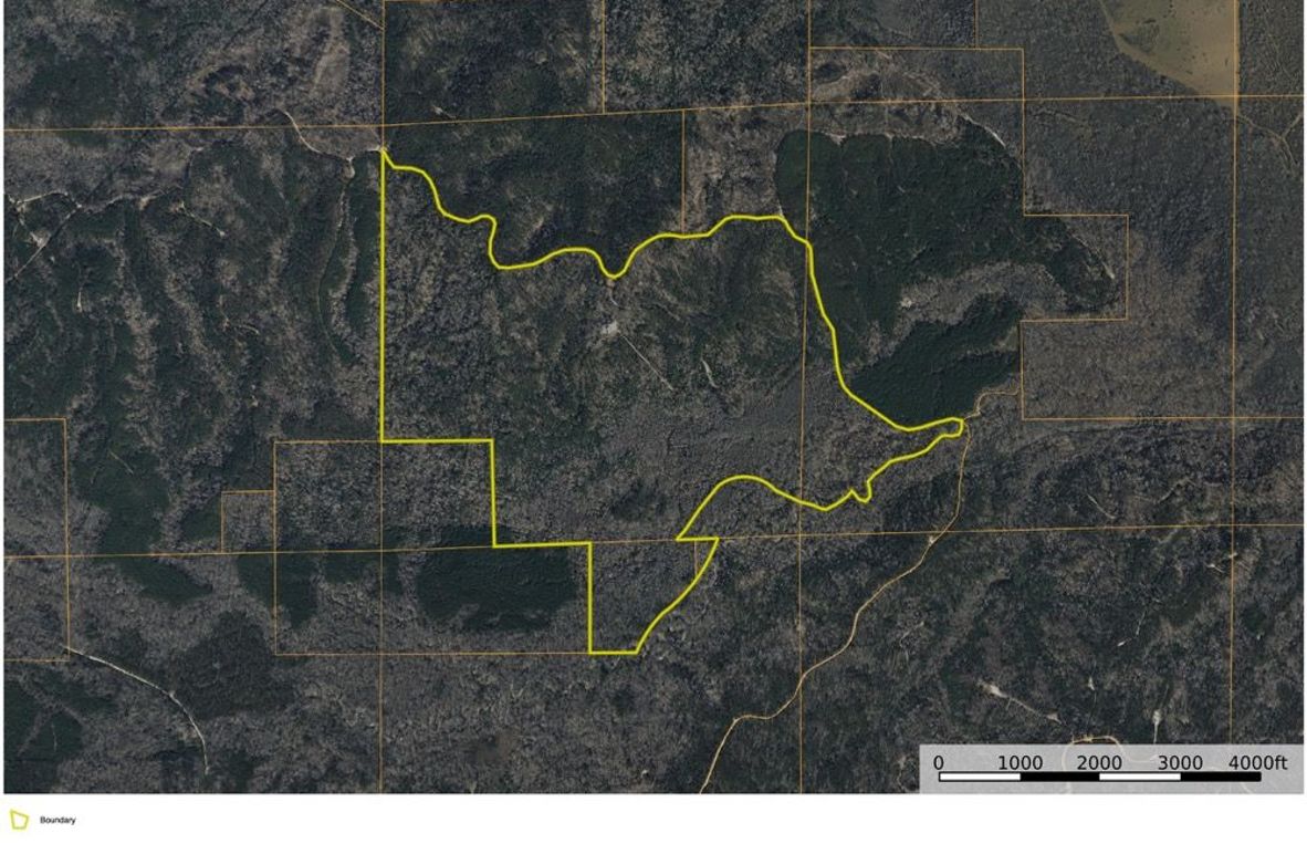 Catahoula_519_aerial