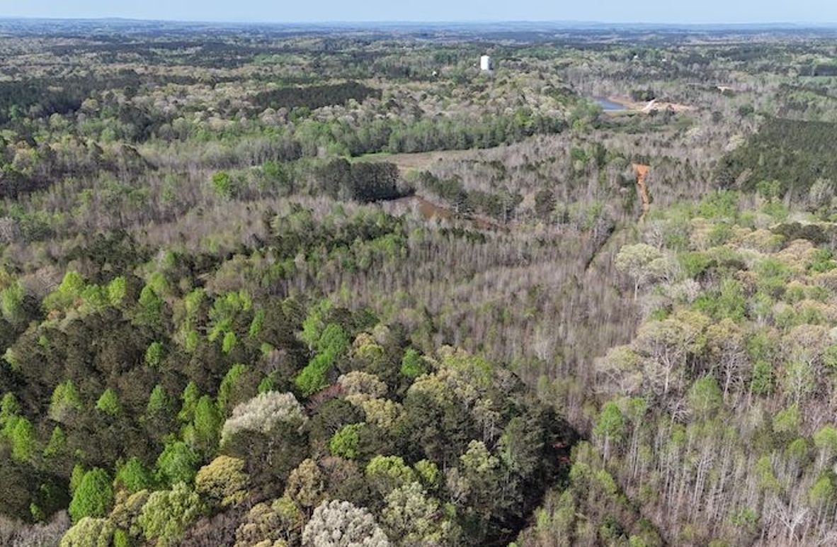 DJI_20250408105913_0097_D