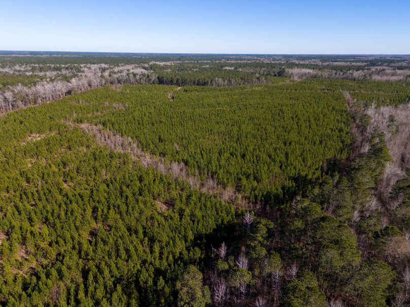 Pender NC 382 - Edits-43