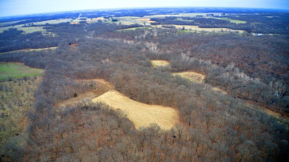 Premier Timbered Hunting Tract For Sale Near Kansas City Whitetail