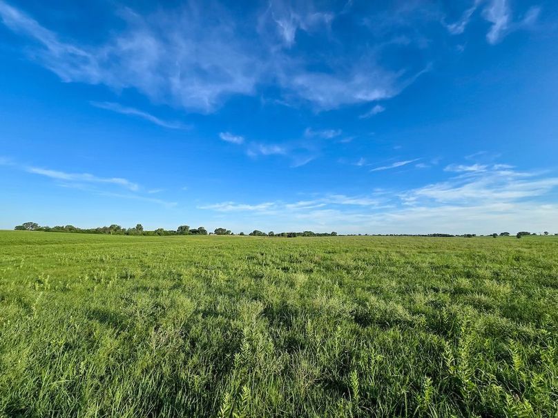 Copy of 20250625_072335