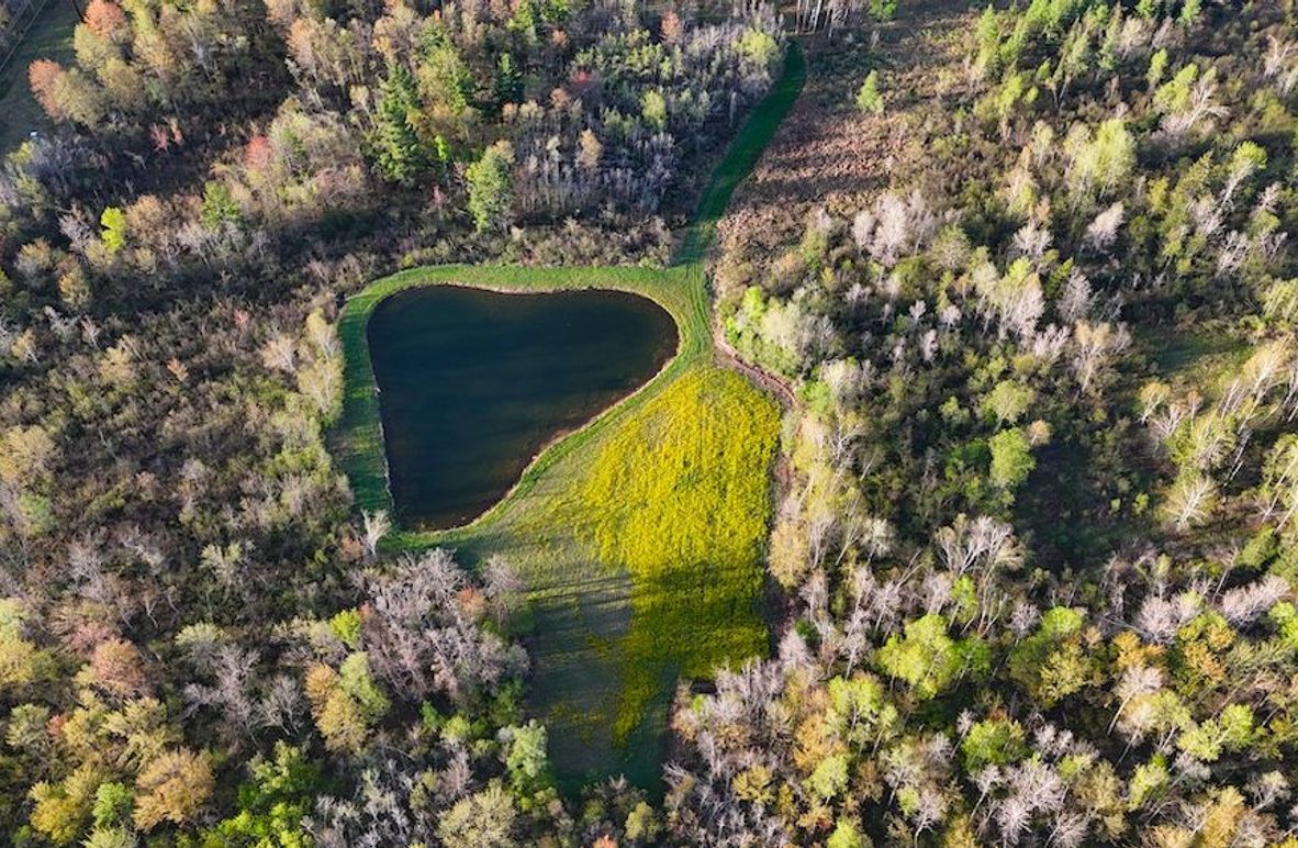 DJI_20260516065803_0069_D