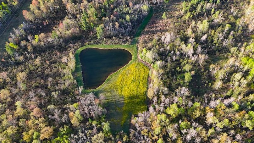 DJI_20260516065803_0069_D