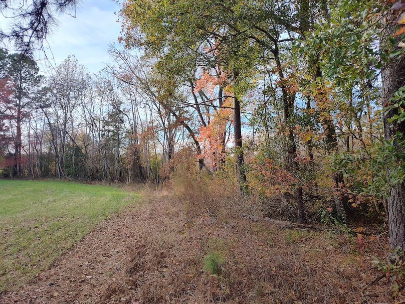 IMG_20251105_153455314_HDR