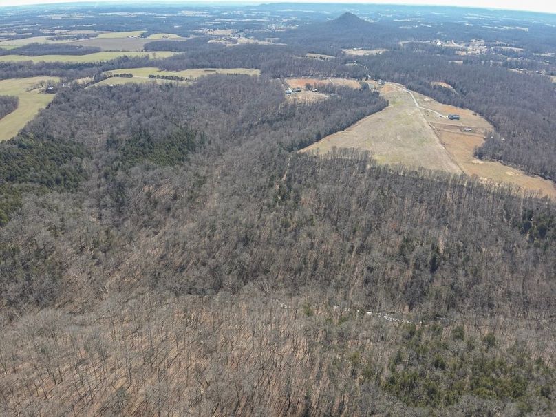 6-DJI_20260228134745_0003_W