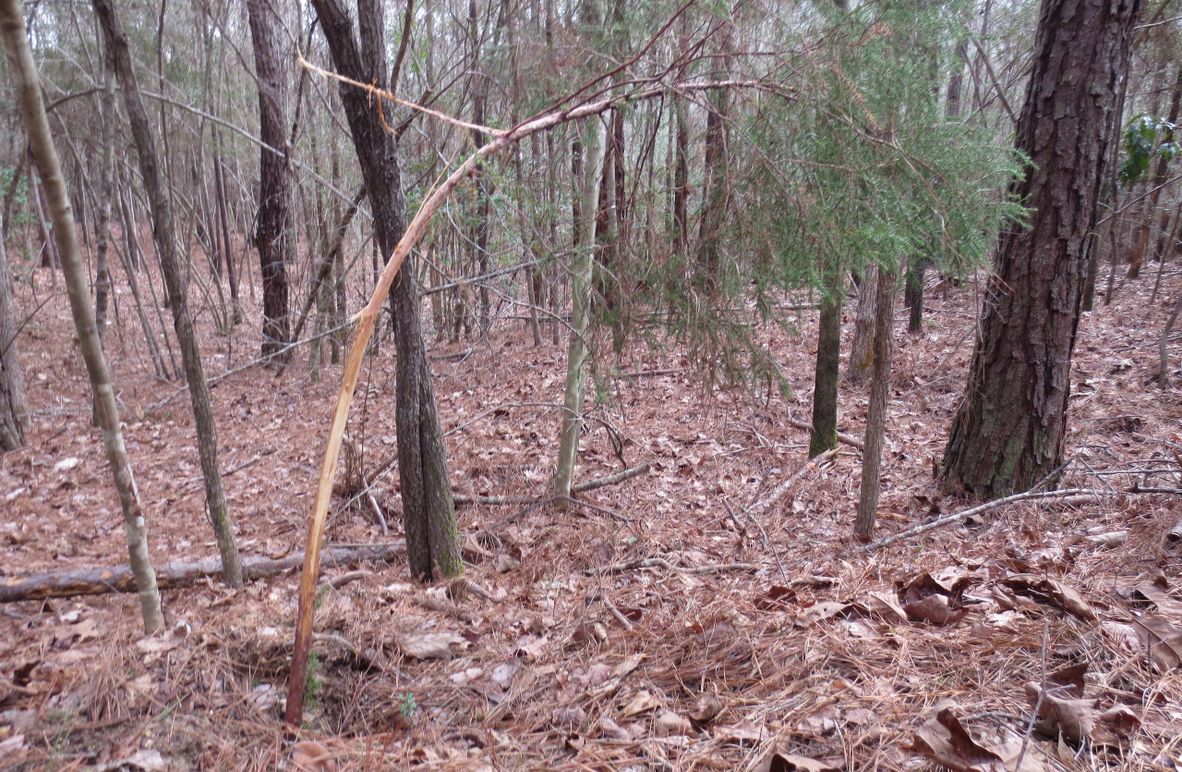 0B533ABF-0461-4183-9996-E52E999DB0E1