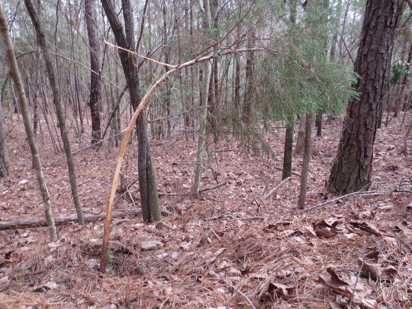 0B533ABF-0461-4183-9996-E52E999DB0E1