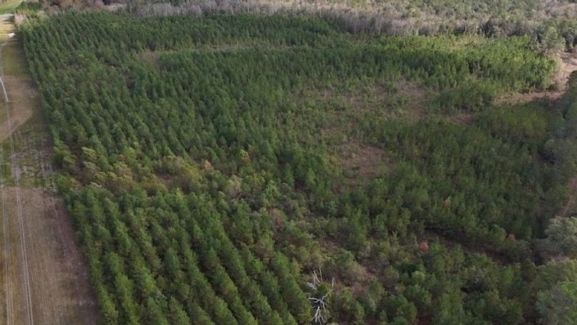 DJI_20231026105426_0010_D