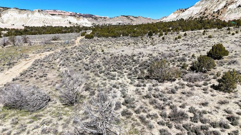 DJI_20240403111827_0152_D