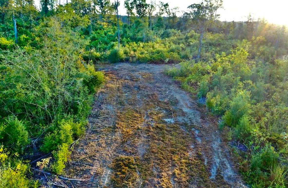 3D3DF1A8-B89D-446F-94AC-A9AD2801B298_1_105_c