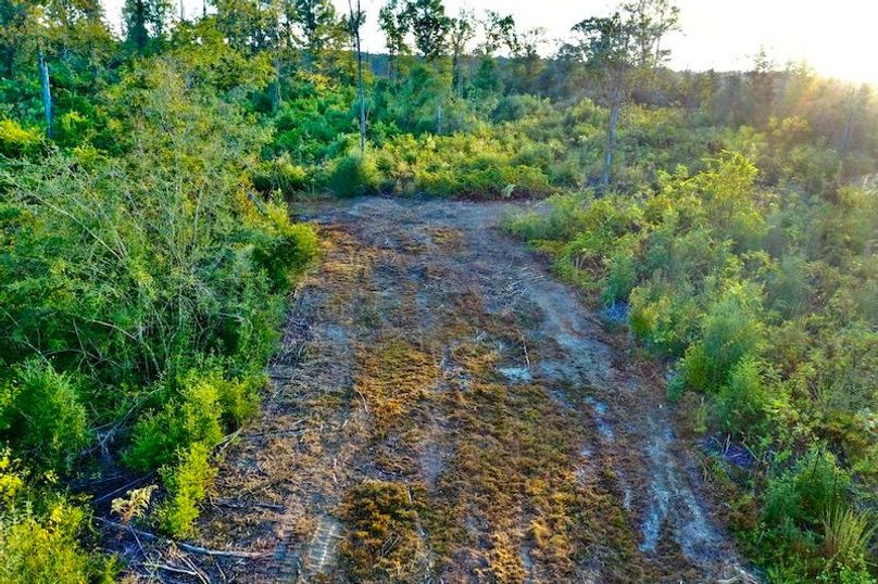 3D3DF1A8-B89D-446F-94AC-A9AD2801B298_1_105_c