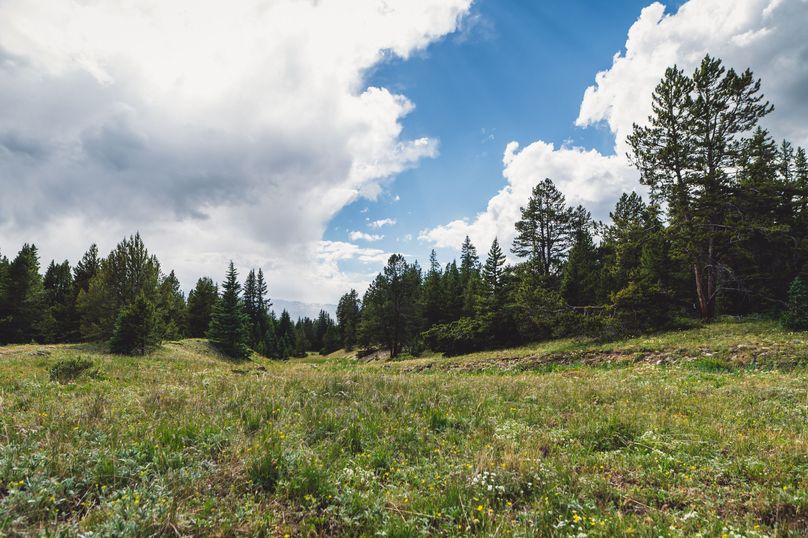 Lake CO 41.32 Nolan - 06 County Route