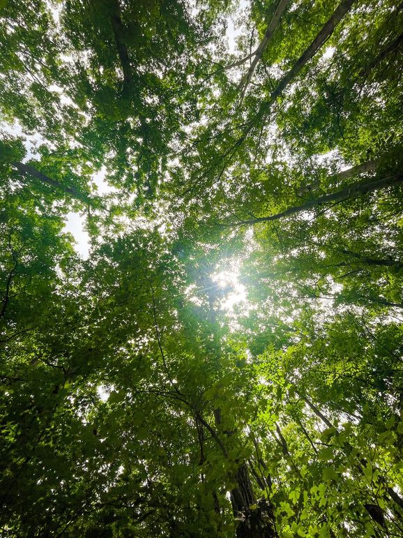 94B8A197-EEBC-444A-82B8-49C620BC1F9A