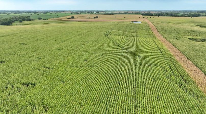 Screenshot 2025-09-05 at 1.59.07 PM