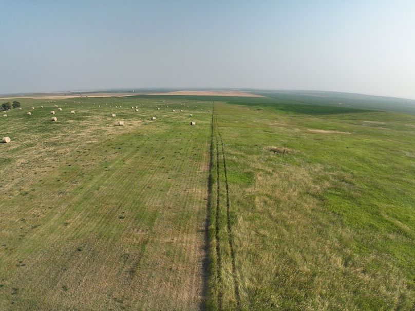 DJI_0373