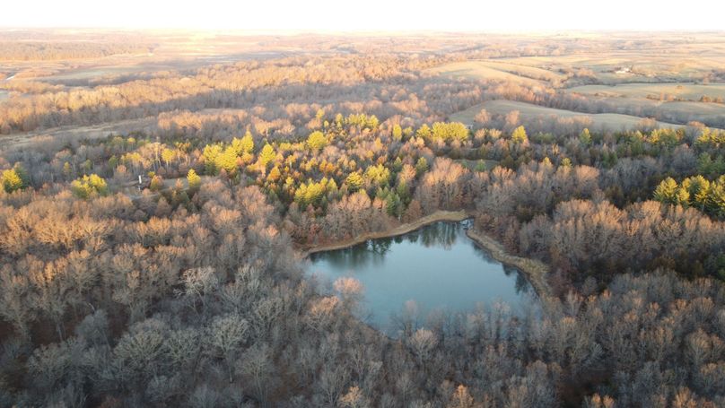 DJI_0378
