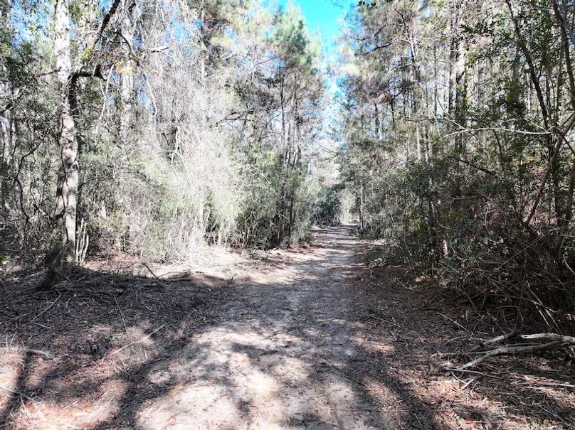 dji_fly_20251209_122122_0766_1765308497968_photo